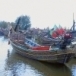 จิตรกรรมเรือกอและ