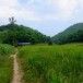 กลุ่มชาติพันธุ์ละว้า ในเขตพื้นที่จังหวัดสุพรรณบุรี