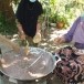 ขนมอาซูรอ