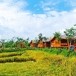 บ้านข้าวหอมฟาร์มสเตย์