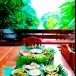 บ้านข้าวหอมฟาร์มสเตย์