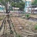 โรงเรียนวัดโฆสิทธาราม