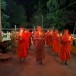 ชุมชนคุณธรรมวัดดงกลาง