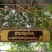 ภูมิปัญญาสมุนไพร