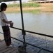 แหล่งอนุรักษ์ปลาแม่น้ำน่าน  บ้านศรีบุญเรือง