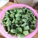 ขนมตาล แม่ภักดิ์ ของฝากบ้านตาดไฮ