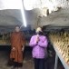 แหล่งโบราณสถาน โบราณวัตถุพื้นที่ชุมชนคุณธรรมวัดดงศรีษะเกษ