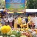 งานสักการะองค์พระธาตุเมืองพิณ