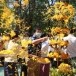 งานสักการะองค์พระธาตุเมืองพิณ