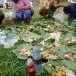 ประเพณีบุญข้าวสาก