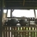 เรือนไทยภาคเหนือ