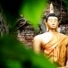 วัดไทร