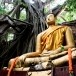 วัดไทร