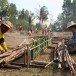 ประเพณีวัฒนธรรมไทพวน บุญข้าวหลาม บ้านดงกระทงยาม
