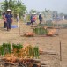 ประเพณีวัฒนธรรมไทพวน บุญข้าวหลาม บ้านดงกระทงยาม
