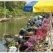 ตลาดน้ำท่าคา