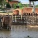 ภูมิปัญญาชาวบ้าน การทำอิฐมอญ