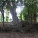 โบราณสถานวัดขุนโลก