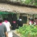 “โคก หนอง นา โมเดล” 