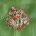 ภูมิปัญญาอาหารอีสาน หมกไข่มดแดงใส่ไข่