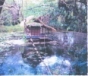 นายคำสิงห์  ศรีนอก (ลาว คำหอม)