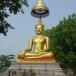 วัดป่าเจ้าพระยา 