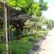 วัดศาสนา (วัดร้าง)( โบราณสถาน)