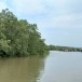 อุทยานแห่งชาติหมู่เกาะระนอง