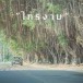 ประวัติอำเภอไทรงาม