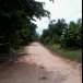 ประวัติบ้านหนองข้าวดอ (บ้านบัวเก่า)