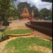 ชากาขาวเวียงกาหลง 