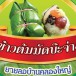 ข้าวต้มมัดบ๊ะจ่าง (บ๊ะจ่างธัญพืช)