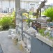 เซรามิค คาเฟ่ (Ceramics Café)