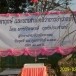 ไม้มงคล 9 ชนิด