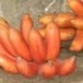 กล้วยกุ้ง