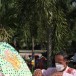 ประเพณีแห่หงส์ ธงตะขาบ