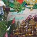 เทศน์มหาชาติมหาเวสสันดรชาดก ประจำปีวัดพระเชตุพนวิมลมังคลาราม ราชมหาวิหาร