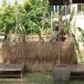 พิธีเถราภิเษก หรือ ฮดสรง บ้านนาหนองแคน หมู่ที่ ๒ ตำบลหนองสูง อำเภอหนองสูง จังหวัดมุกดาหาร