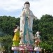 ทุ่งสง