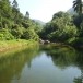 ทุ่งสง