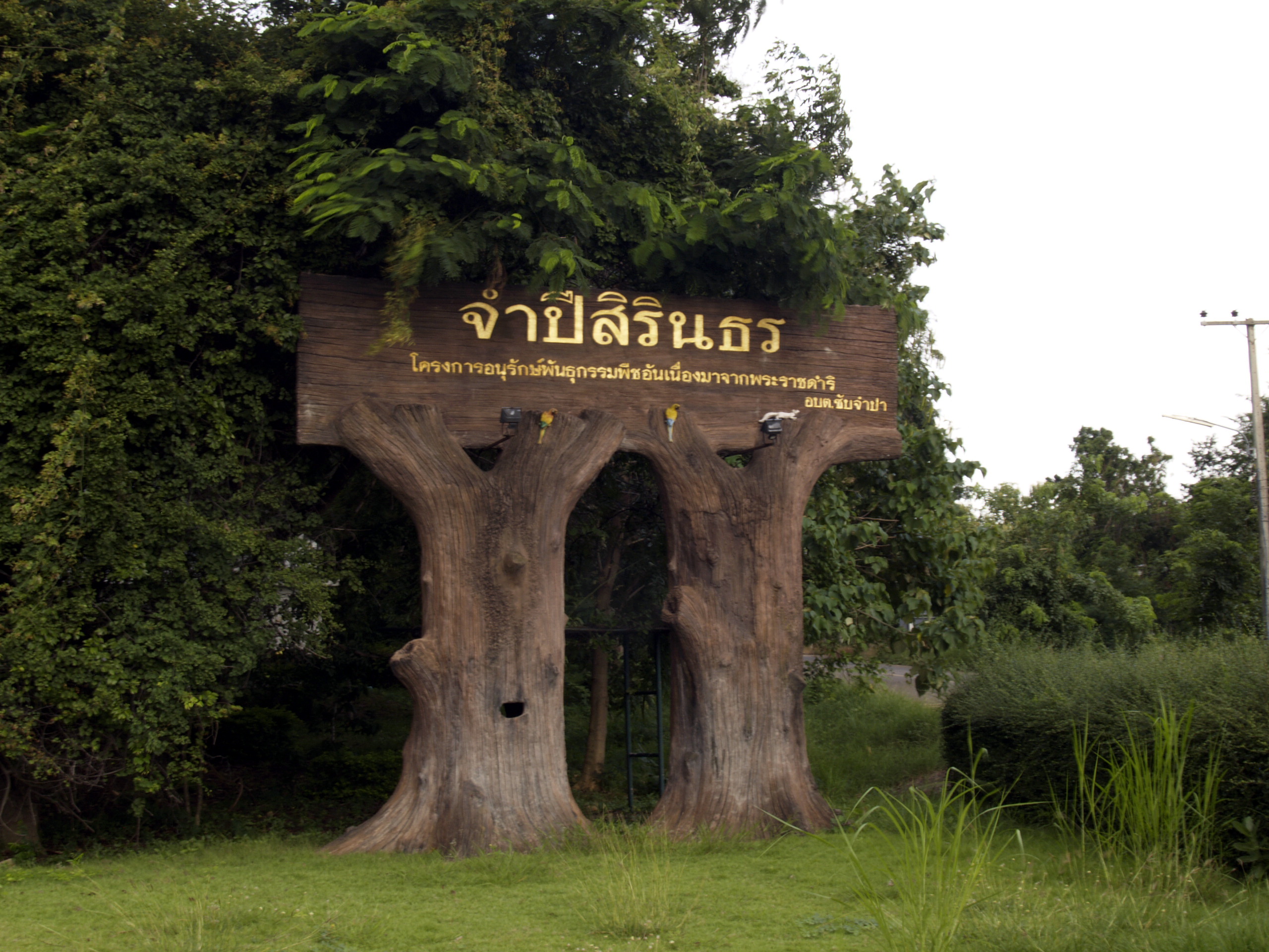 จำปีสิรินธร