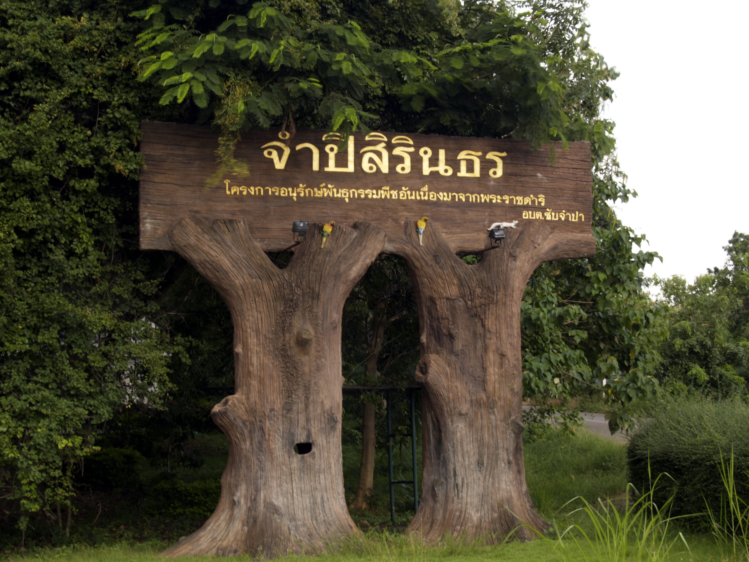 จำปีสิรินธร