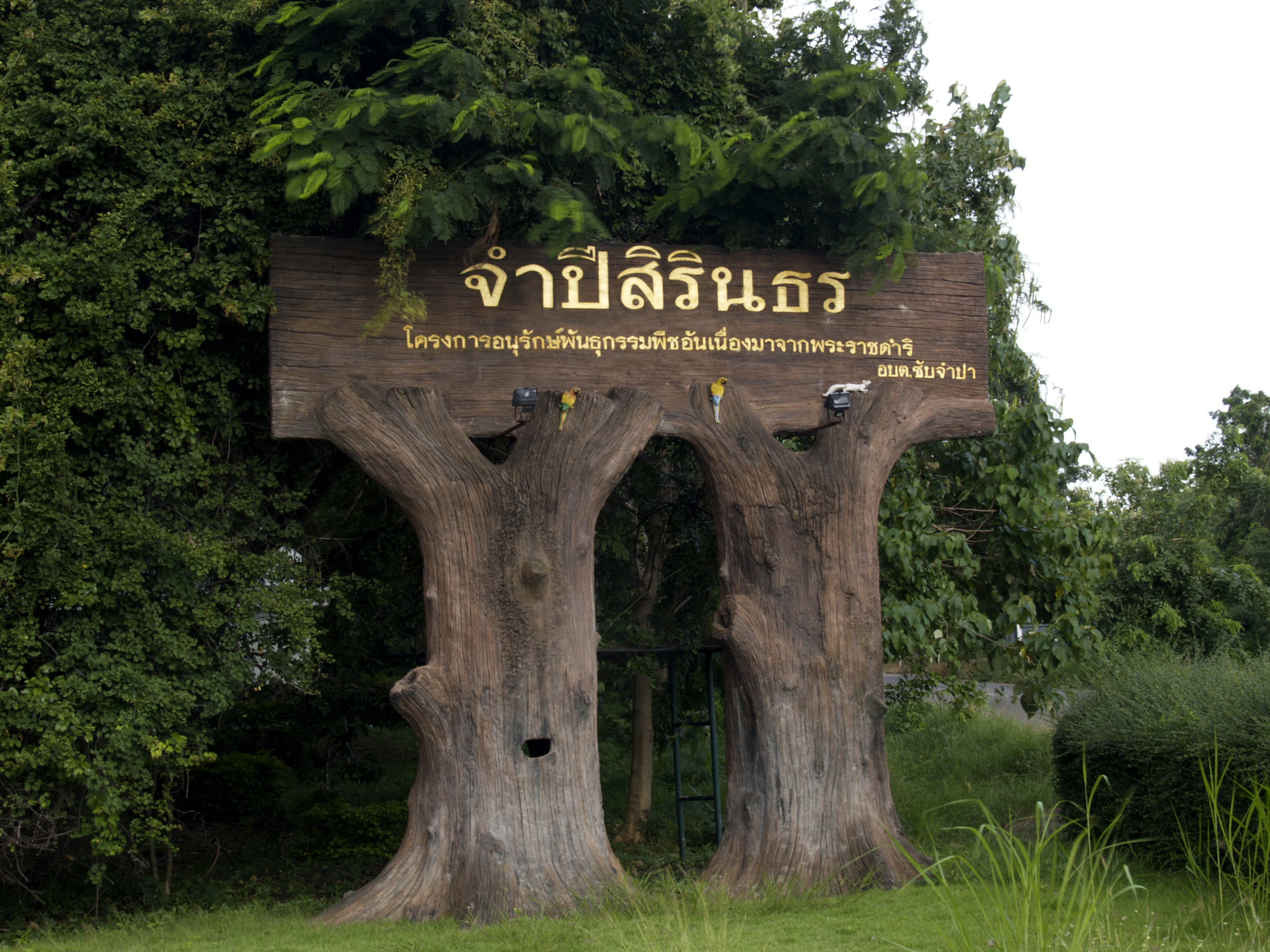 จำปีสิรินธร