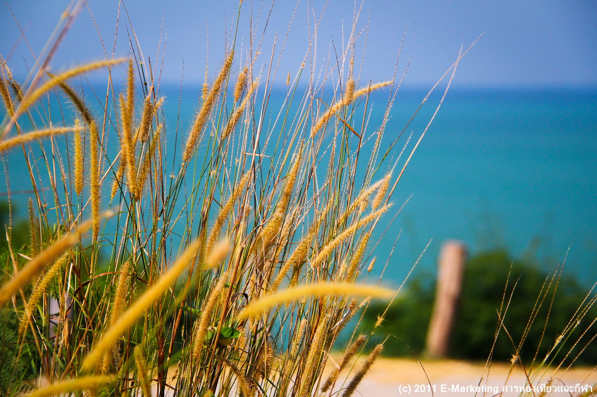 เขาพลายดำ