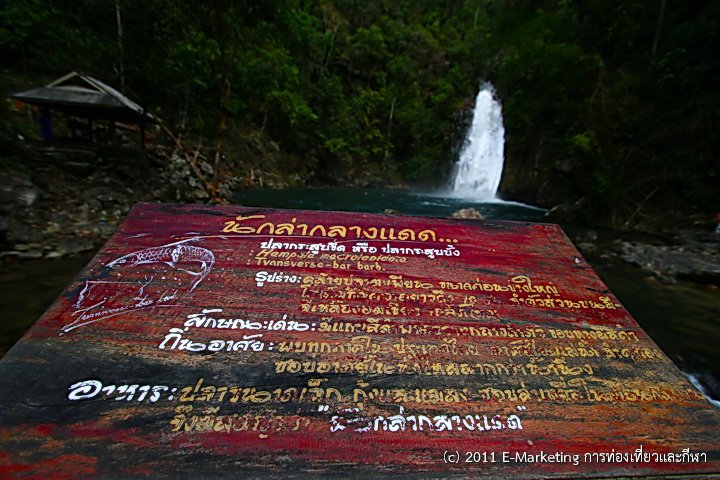 น้ำตกโยง