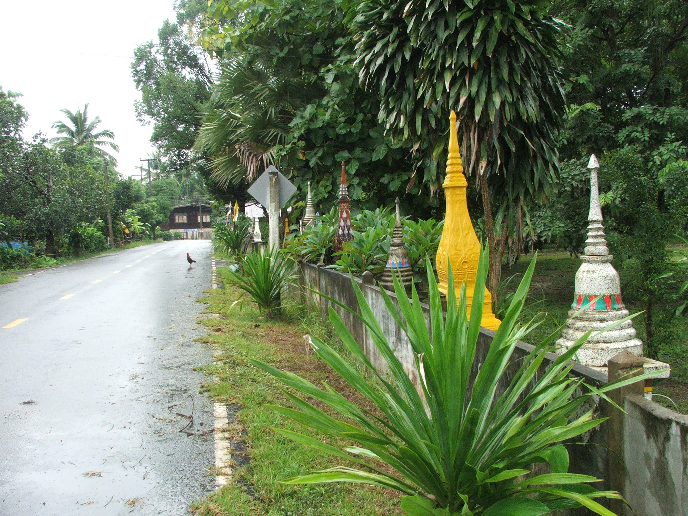 แม่น้ำสองสี