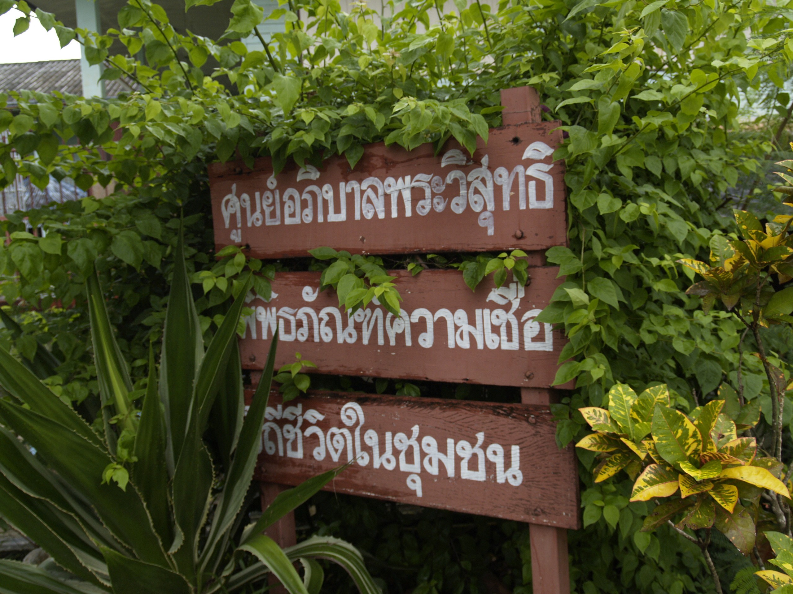 อิ้ว บ้านโพนสูง